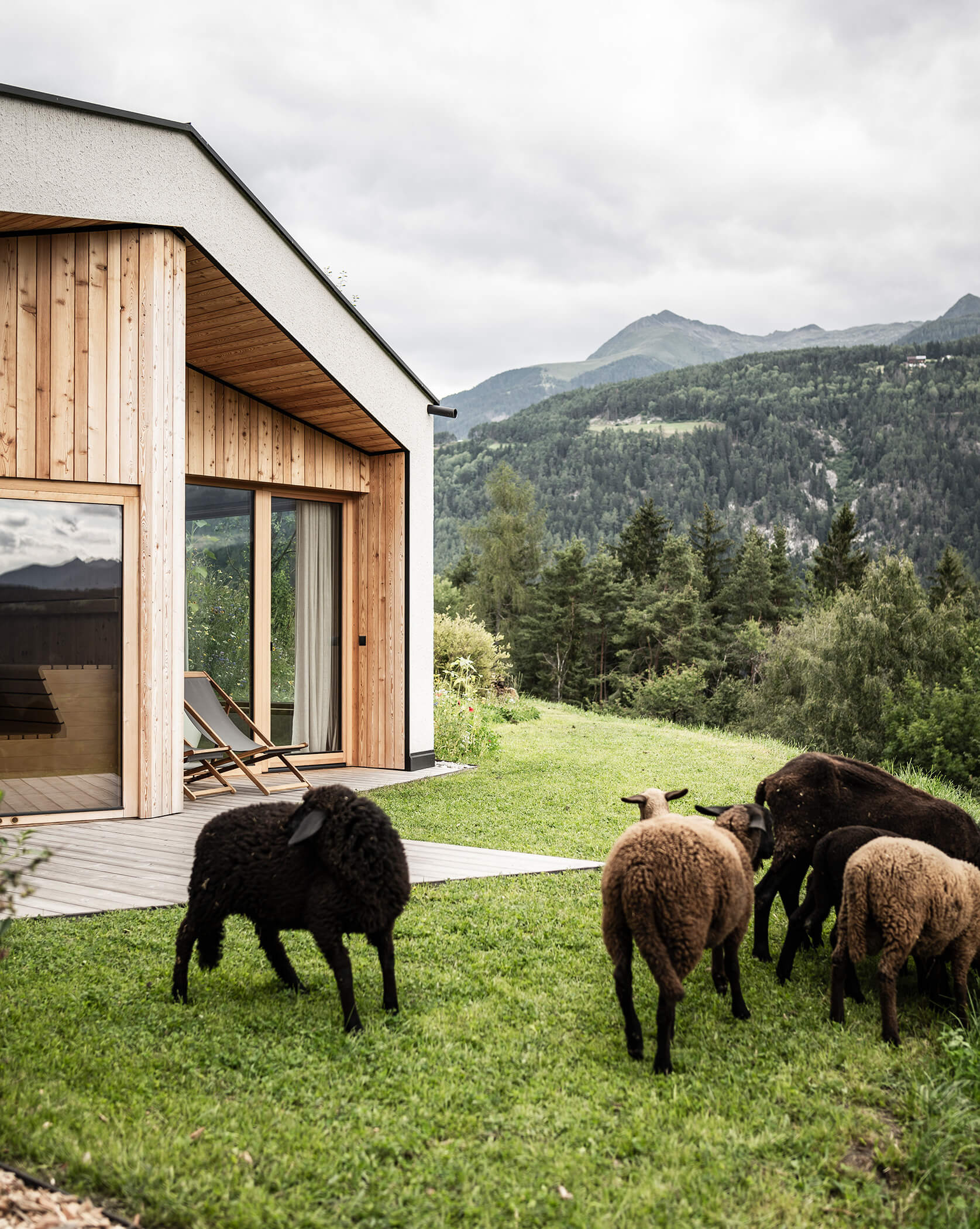 Le pecore pascolano davanti agli chalet - Oberplunerhof