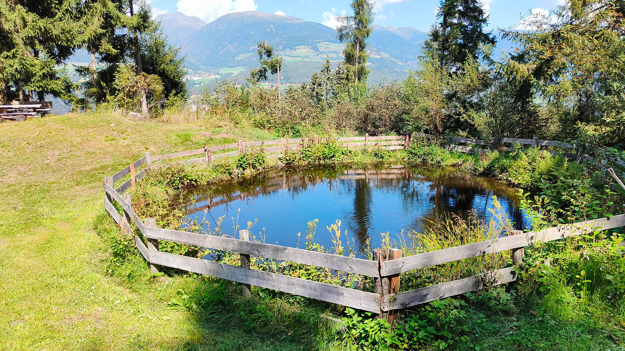 Un lago recintato in mezzo a prati e alberi - Oberplunerhof