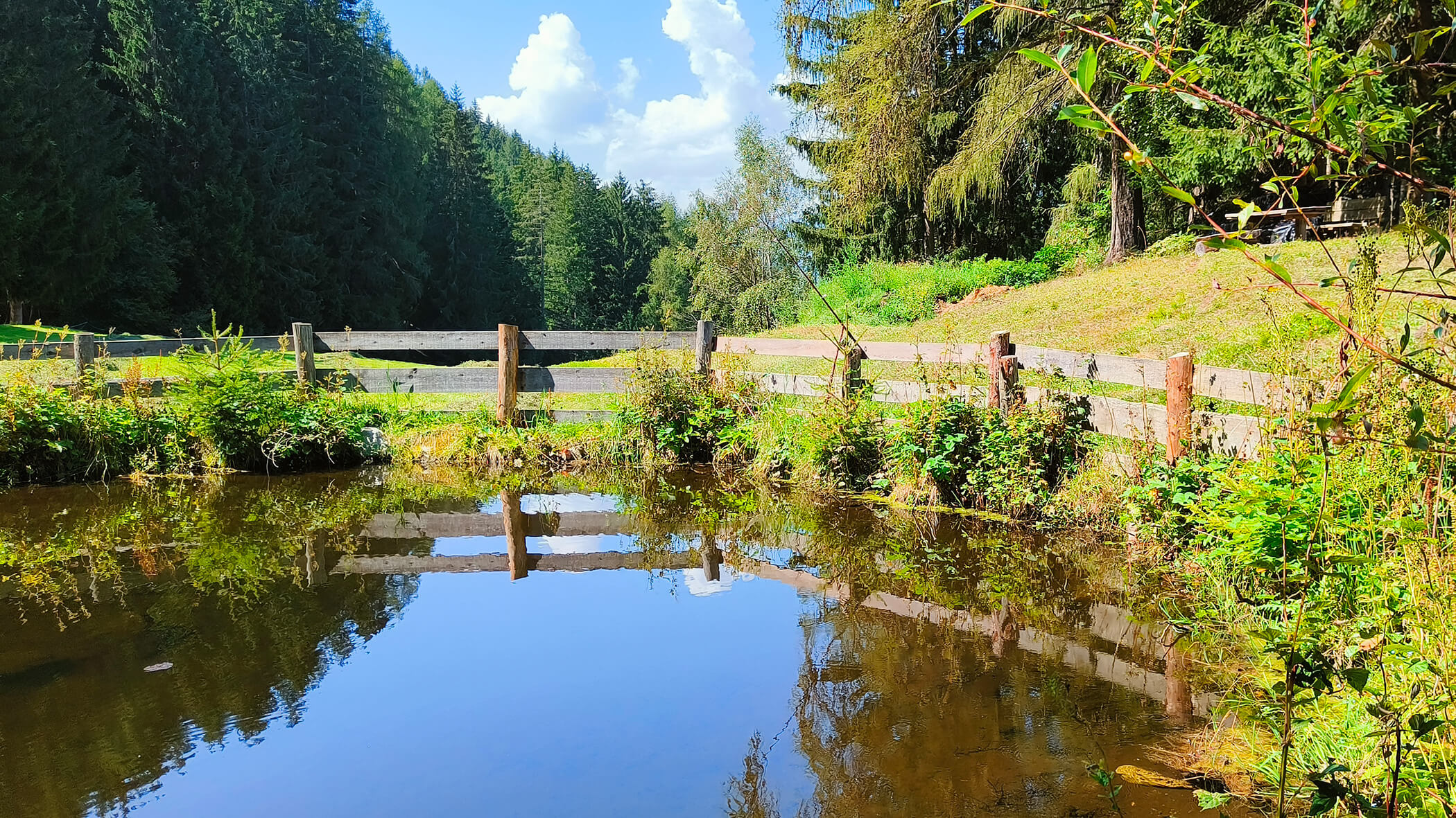 Un lago in mezzo a un prato verde e ad alberi - Oberplunerhof